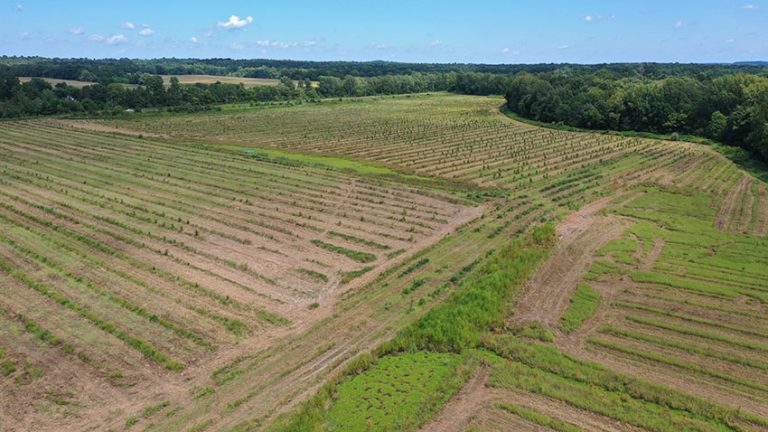 Aerial view of a large piece of land / property